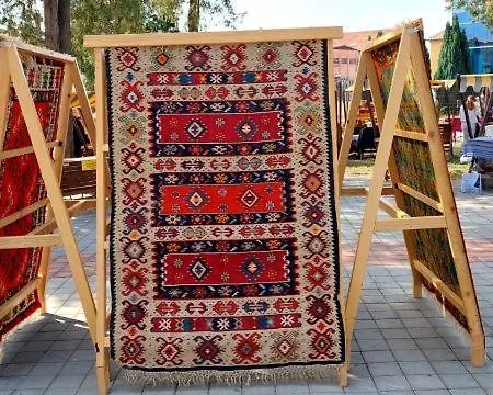 Maca * Pirot