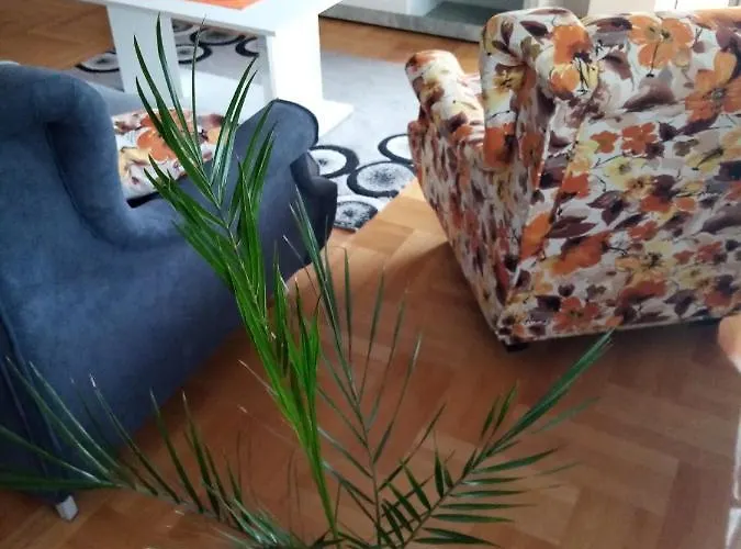 公寓 Maca 皮罗特